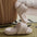 b7559f231e2eed8a5b2809d109e25293