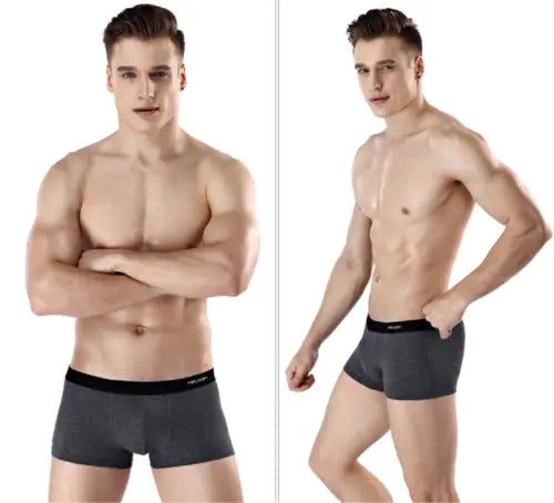 Antarctic Men's Underwear Zhongshan Underwear - JUPITER BMY LTD