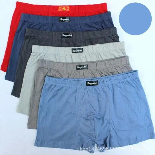 Men's cotton shorts /  Men's casual wear / Cotton shorts - JUPITER BMY LTD